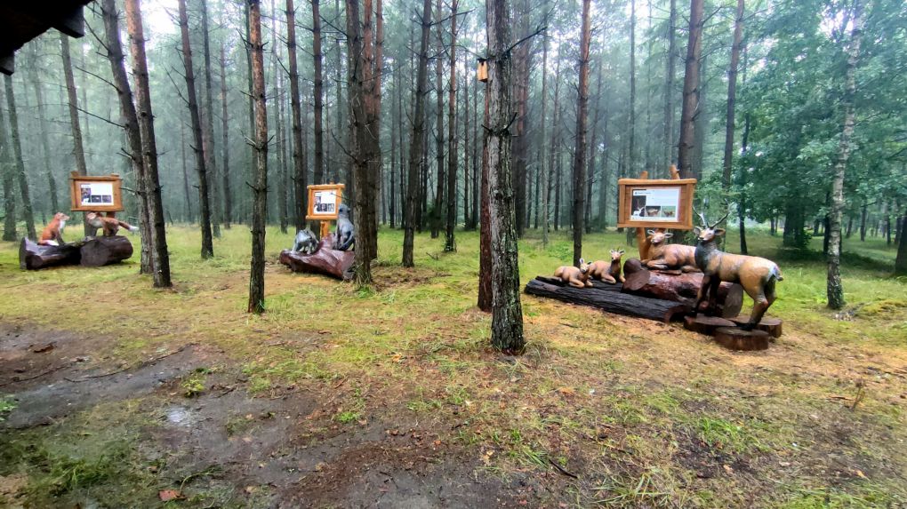 rzeźby zwierzat leśnych przy stanicy myśliwskiej